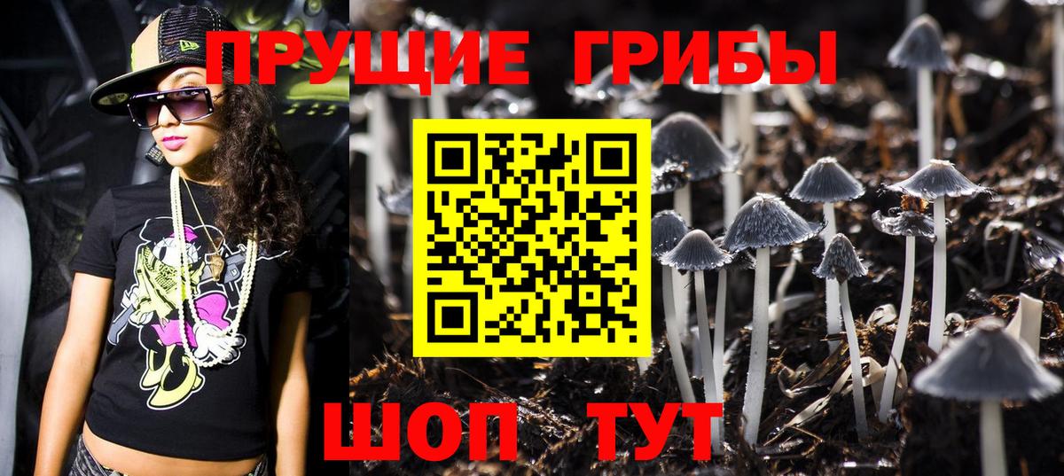 Псилоцибиновые грибы Cubensis  Вход с VPN  Псилоцибиновые грибы ЛСД  Ессентуки 