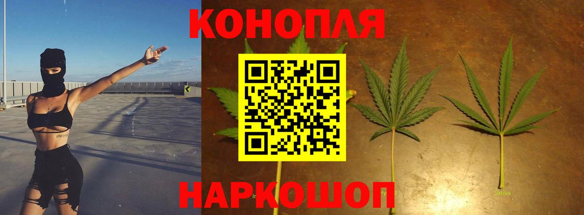 Бошки Шишки ГИДРОПОН Ессентуки